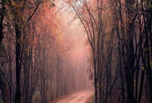 [国足]唐天翼送精妙传球 白余涛单刀推射得手.