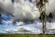 多多28官网：美媒晒图调侃：终于见到本-西蒙斯出手跳投了😳.