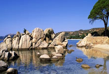 钱塘潮涌处 浙江足球“正青春”2025-04-03.